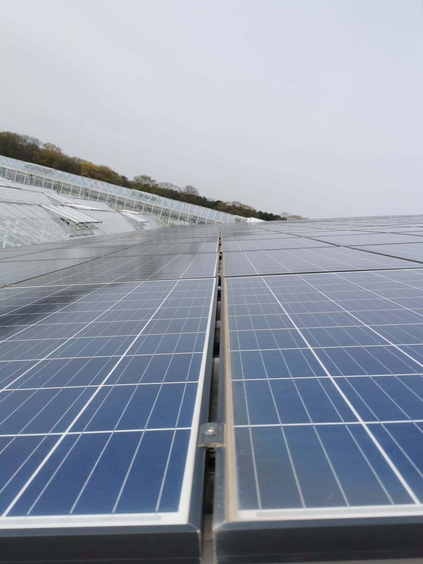 EverKinetiq zonnepanelen installatie - project 27 | EverKinetiq Belgium